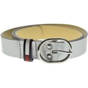 Riem Tommy Hilfiger AW0AW06170 055