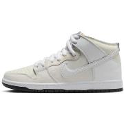 Hoge Sneakers Nike SB Dunk High Antihero Skateboards