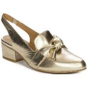 Pumps Maciejka N653925001