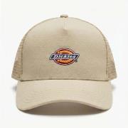 Pet Dickies DK0A4YV3L441