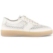 Lage Sneakers Gabor 83.341