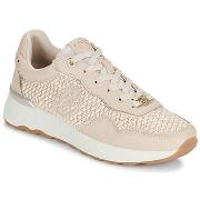 Lage Sneakers Carmela 163239