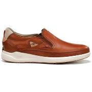 Mocassins Fluchos BASKETS F2445