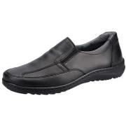 Instappers Waldläufer Herwig