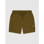 Korte Broek Dickies PELICAN RAPIDS - DK0A4XB2-DKO1 DARK OLIVE