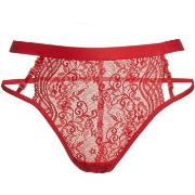 Tanga's Kisses And Love 21683-RED