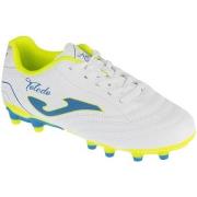 Voetbalschoenen Joma Toledo Jr 26 TOJS FG