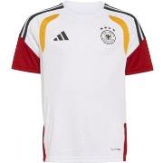 T-shirt Korte Mouw adidas KB4441000