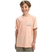 T-shirt Korte Mouw Quiksilver EQBZT04852-MEF0