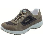 Nette Schoenen Grisport 8601SV68MA Torba