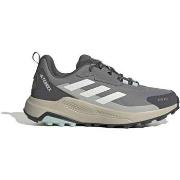 Lage Sneakers adidas Terrex Anylander R.Rdy