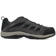 Lage Sneakers Columbia Crestwood