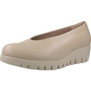 Ballerina's Wonders IRIS