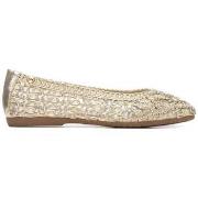 Ballerina's Xti 14537201