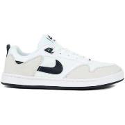 Lage Sneakers Nike SB Alleyoop