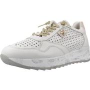 Sneakers Cetti 10002 Xl V26 Nature Deportivo Blcoro