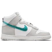 Hoge Sneakers Nike Dunk High