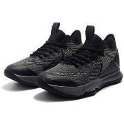 Basketbalschoenen Nike Lebron Witness IV