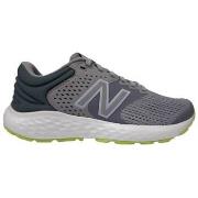 Lage Sneakers New Balance 520
