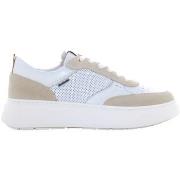 Lage Sneakers NeroGiardini E615275D/714