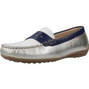 Mocassins Fluchos 2318F
