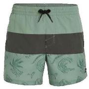 Zwembroek O'neill Short de bain O'Neill Mix Match Cali Block 15''