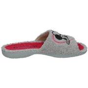 Pantoffels Vulca-bicha -