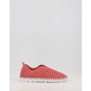 Instappers Eoligeros TESSY