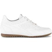 Lage Sneakers Gabor 86.565