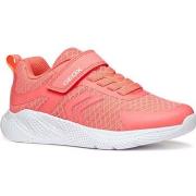 Lage Sneakers Geox -