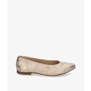 Ballerina's Kennebec 623