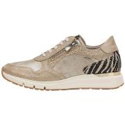 Lage Sneakers Dorking D9556LGSEC