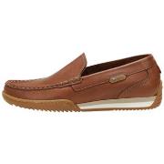 Mocassins Fluchos F2432