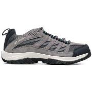 Wandelschoenen Columbia Crestwood