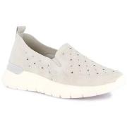 Instappers Grunland DSG-SC6187