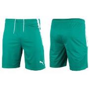 Korte Broek Puma 70492405
