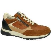 Lage Sneakers Fluchos Louis F1958