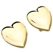 Oorbellen Chiara Ferragni j19axp07