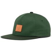 Pet Herschel Scout Vintage Cap Dark Green/Mountain View