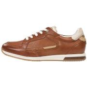 Lage Sneakers Fluchos F2187