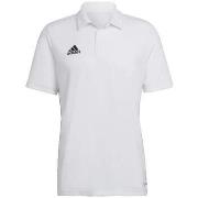 Polo Shirt Korte Mouw adidas Polo Entrada 22 manches courtes blanc