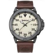 Horloge Timberland ty567010
