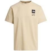 T-shirt Korte Mouw The North Face Icon Celebration