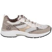 Lage Sneakers Bagatt D31AVV0155695382