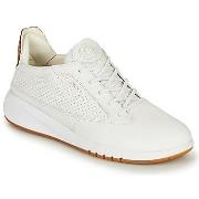 Lage Sneakers Geox D AERANTIS