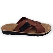 Slippers Kickers kick nostra