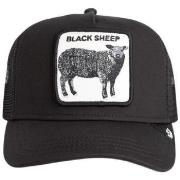 Pet Goorin Bros 101-2457-Voi01