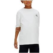 T-shirt Korte Mouw Calvin Klein Jeans LVCKSJA05YAF