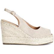 Pumps Café Noir C1XA9106