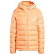 Blazer adidas Terrex Multi